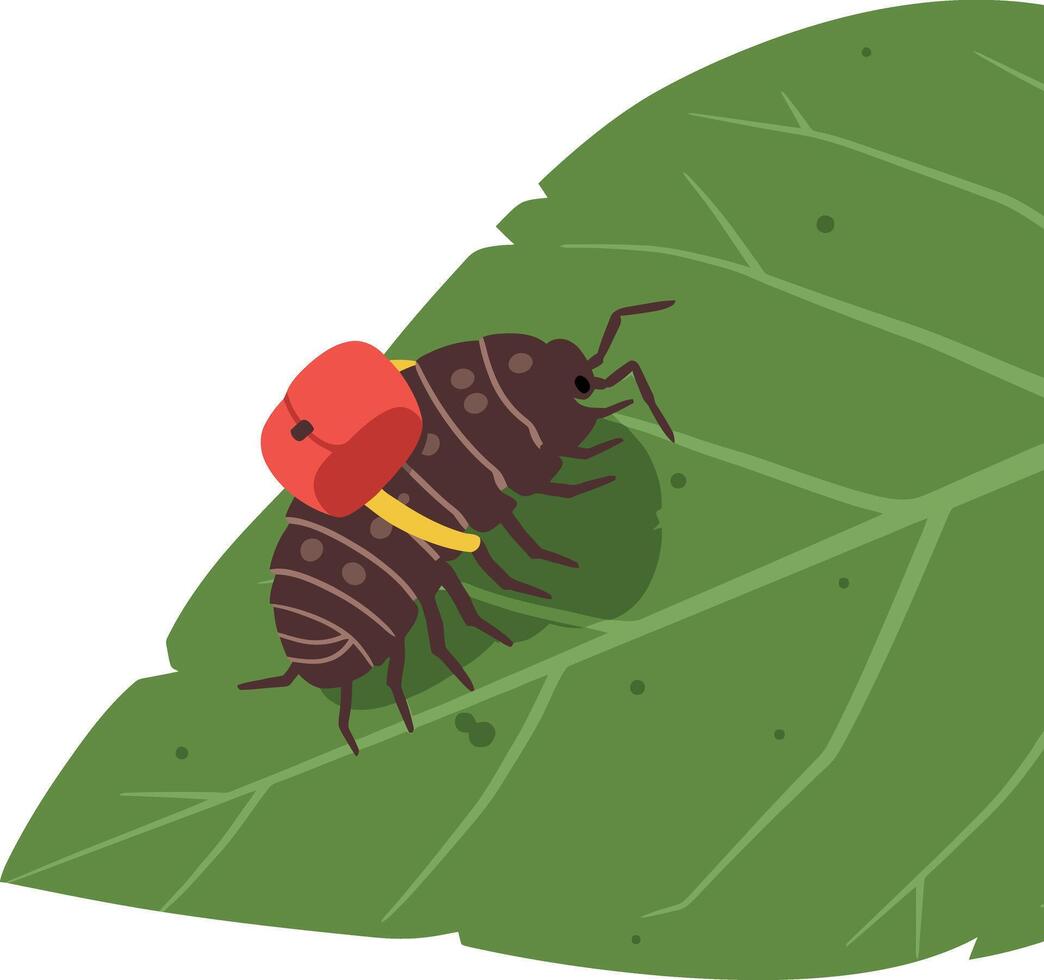 Insect carrying red flower on green leaf illustration nature close-up vector