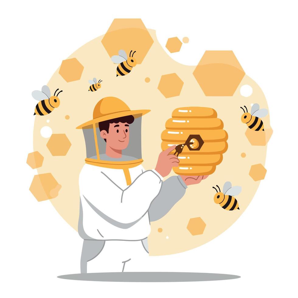 Beekeeper harvesting honey from beehive with bees and honeycombs illustration vector