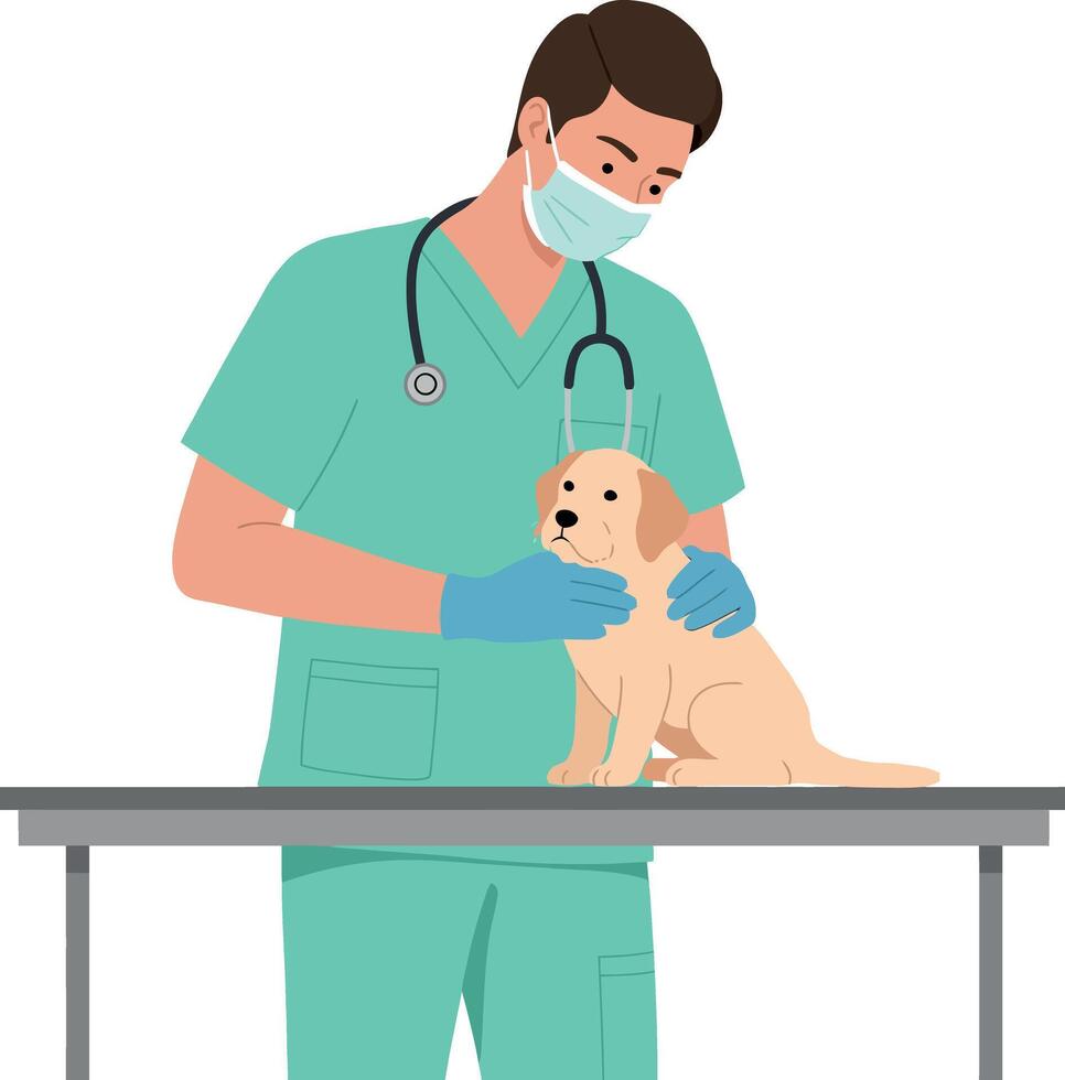 Veterinarian examining puppy on table in medical uniform and mask illustration vector
