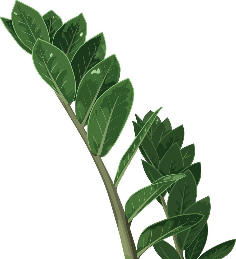 Green leaf branch illustration with detailed veins and natural texture vector
