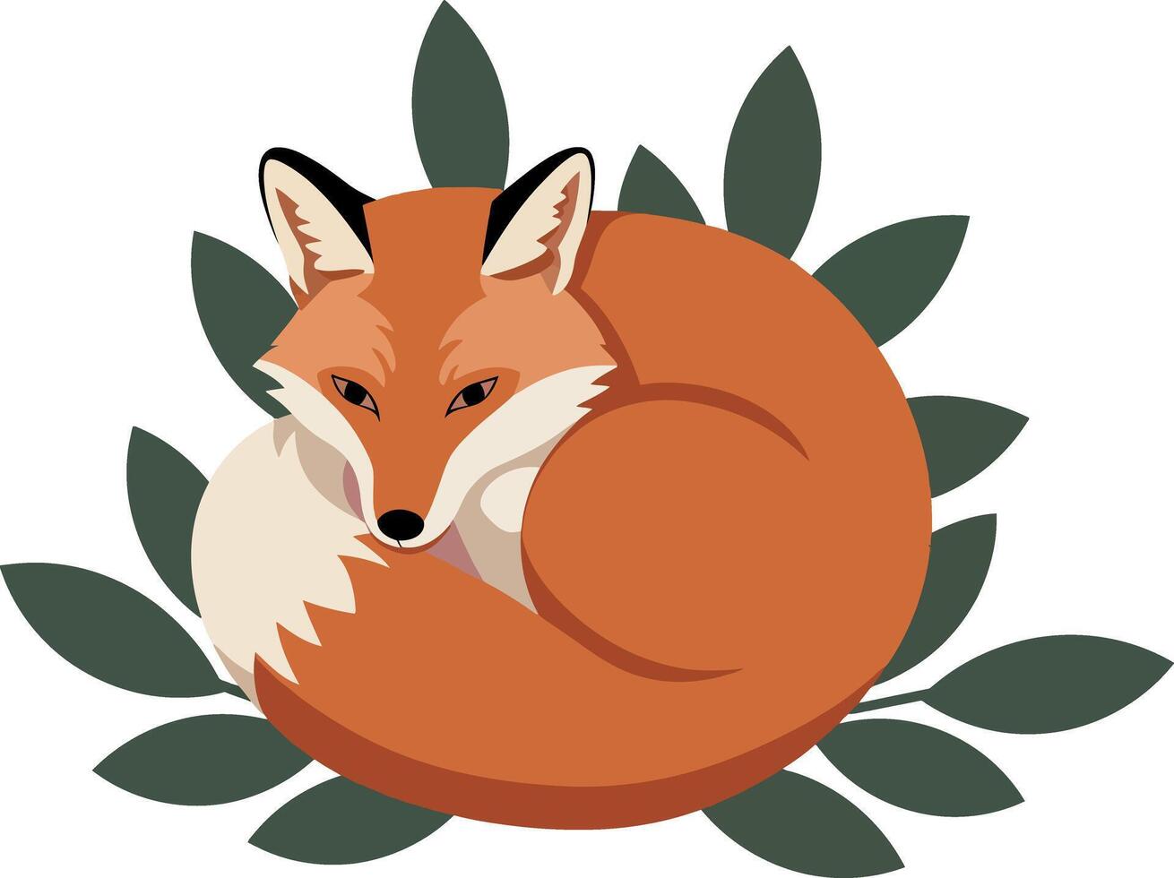 Red fox curled with green leaves nature wildlife illustration vector