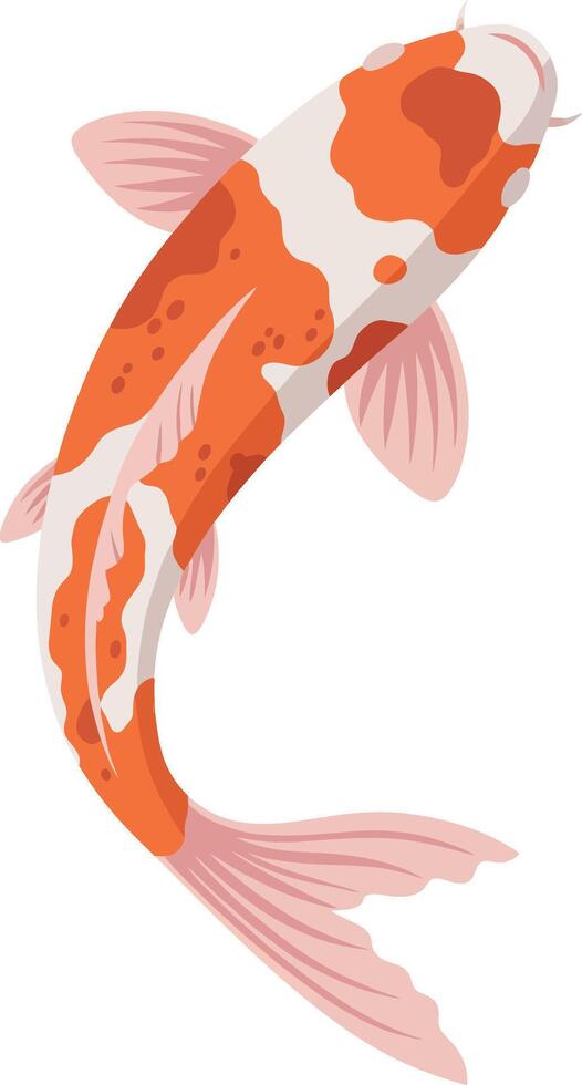 Koi Fish Swimming with Orange and White Patterns Illustration in Pond vector