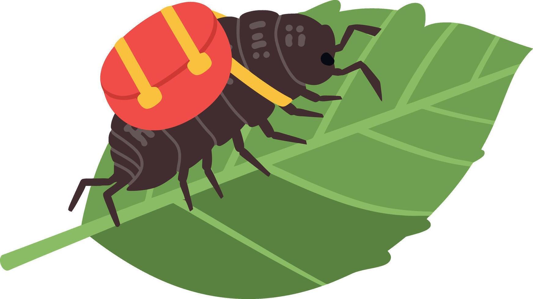 Beetle on green leaf illustration with red and yellow details in flat style vector