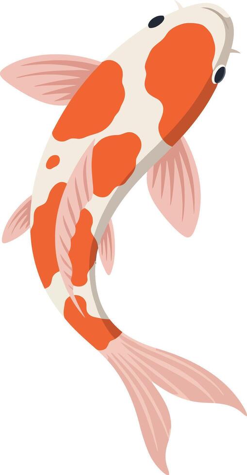 Koi Fish Swimming Illustration with Orange and White Colors Design vector