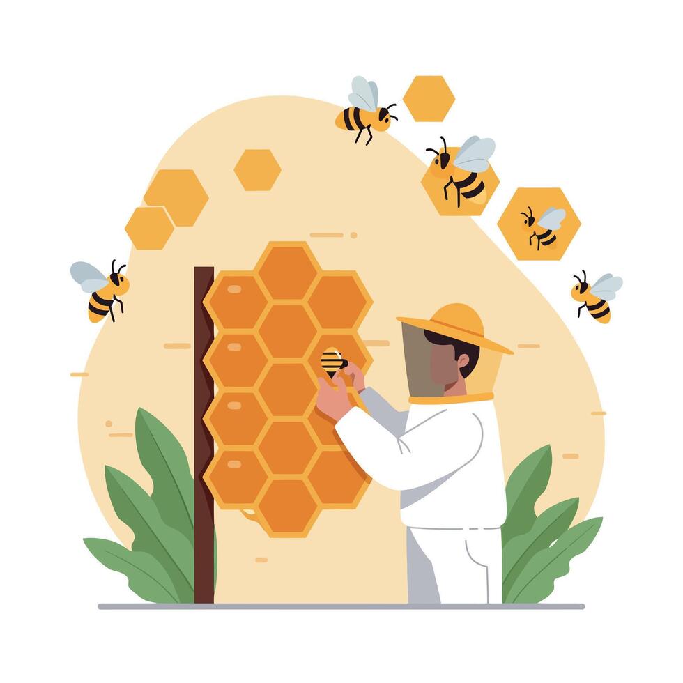 Beekeeper harvesting honeycomb from hive with flying bees illustration vector