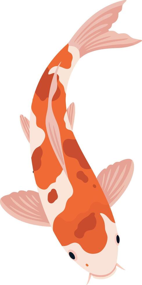 Koi Fish Illustration Orange and White Colored Swimming Fish Design vector