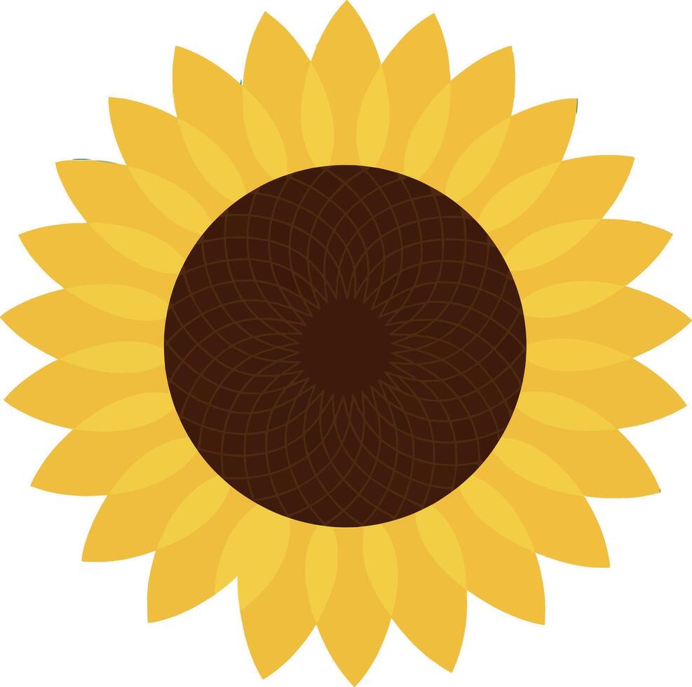 Sunflower illustration with yellow petals and brown center in flat design style vector
