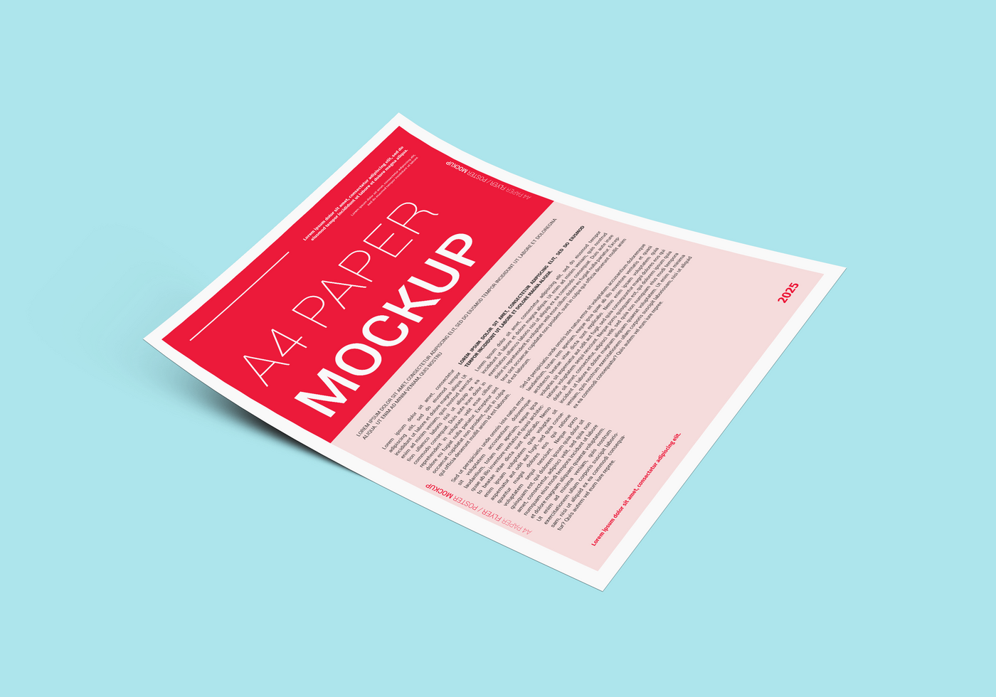 A4 Size Paper Mockup in Floor psd