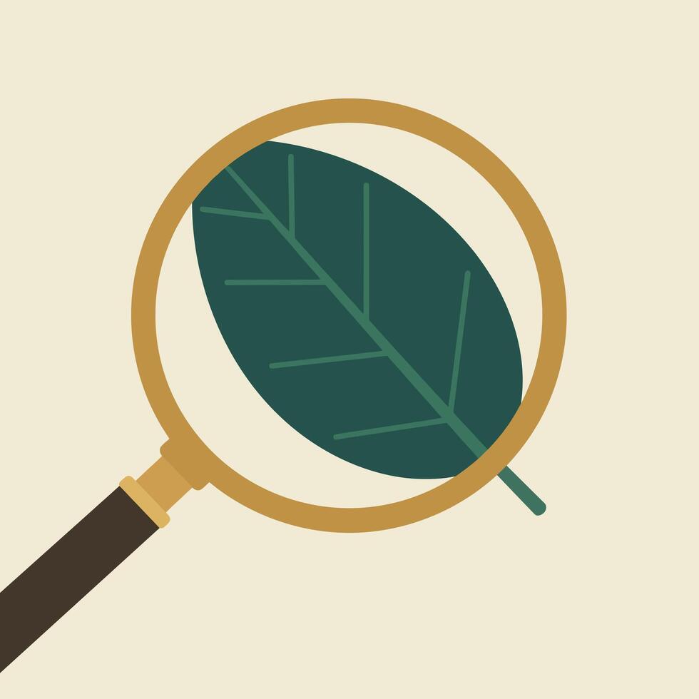 Magnifying glass inspecting green leaf close-up nature exploration illustration vector