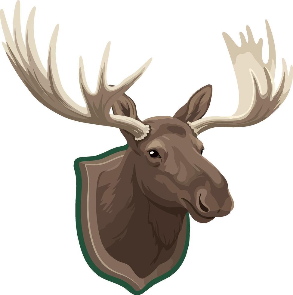 Moose head wall mount trophy illustration with large antlers natural wildlife design vector