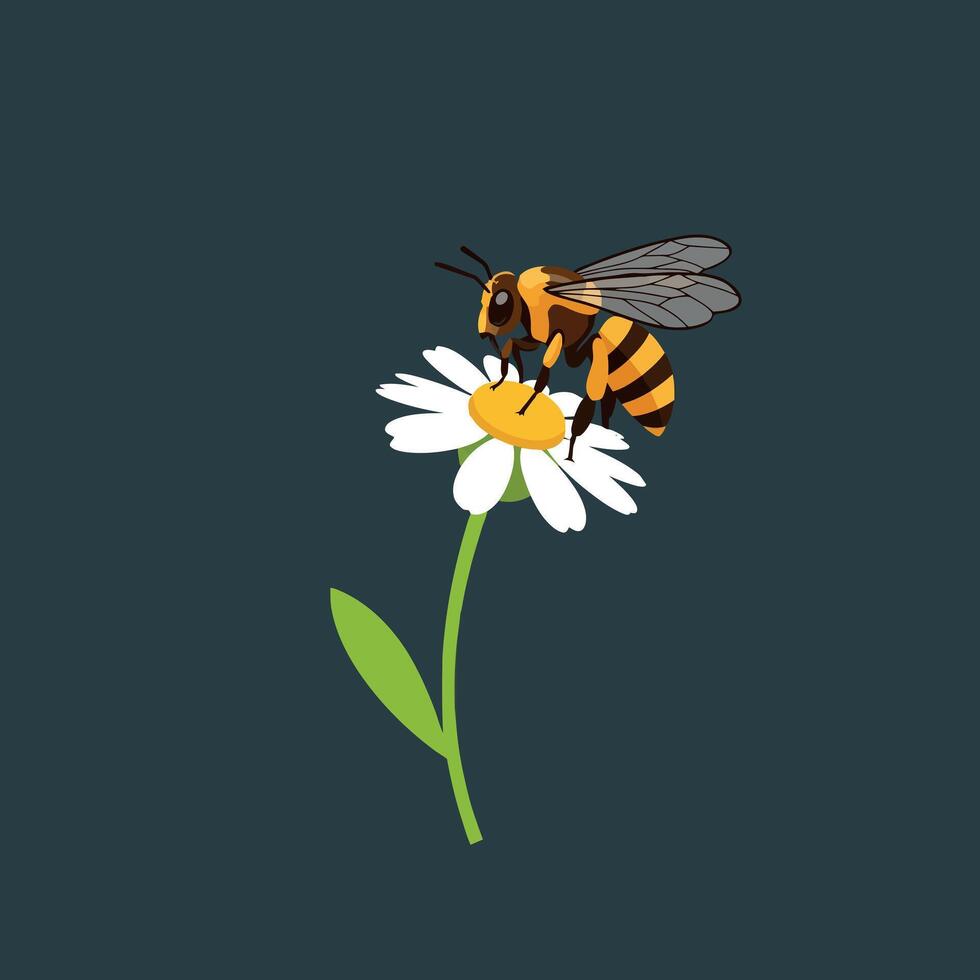 Bee perched on white daisy flower with green stem illustration natural pollination vector