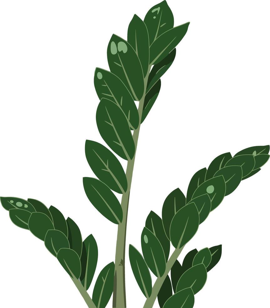 Green leaves plant illustration with simple design and natural style vector