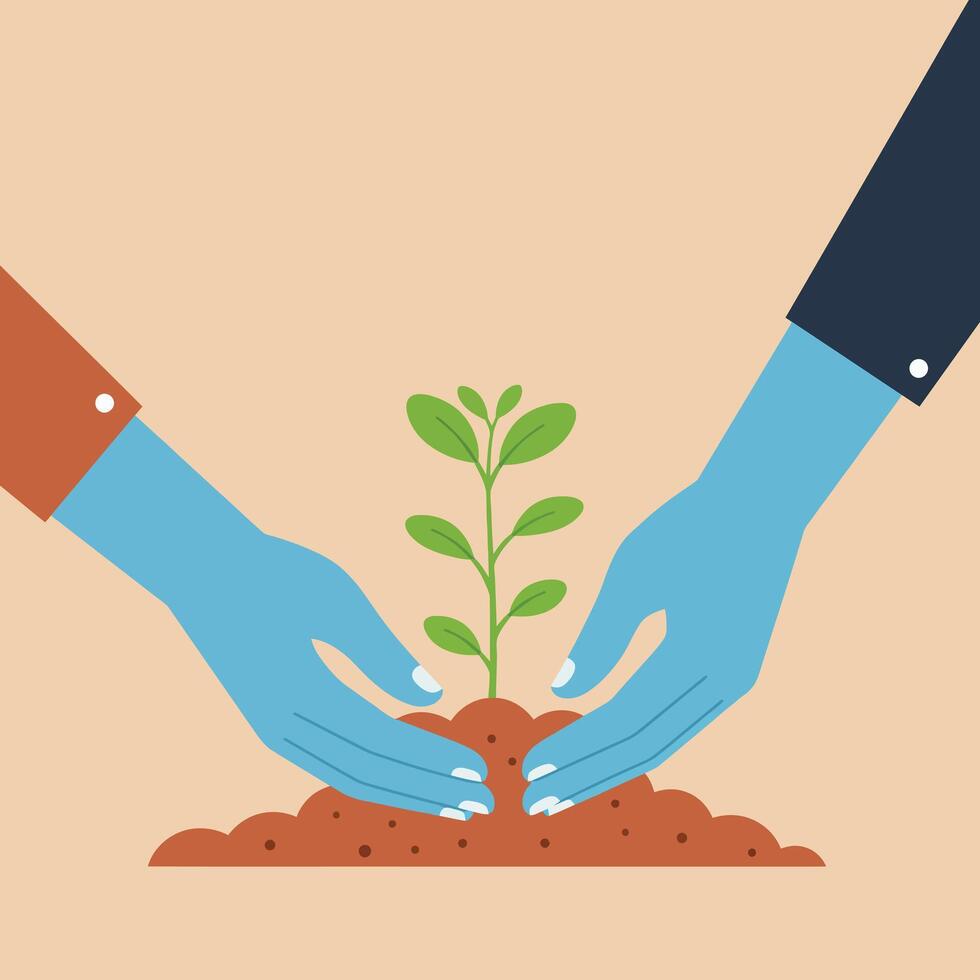 Hands Planting Young Green Seedling in Soil Symbolizing Growth and Care Illustration vector