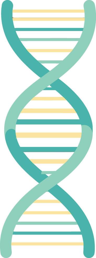 DNA double helix structure illustration with turquoise and yellow strands graphic design vector