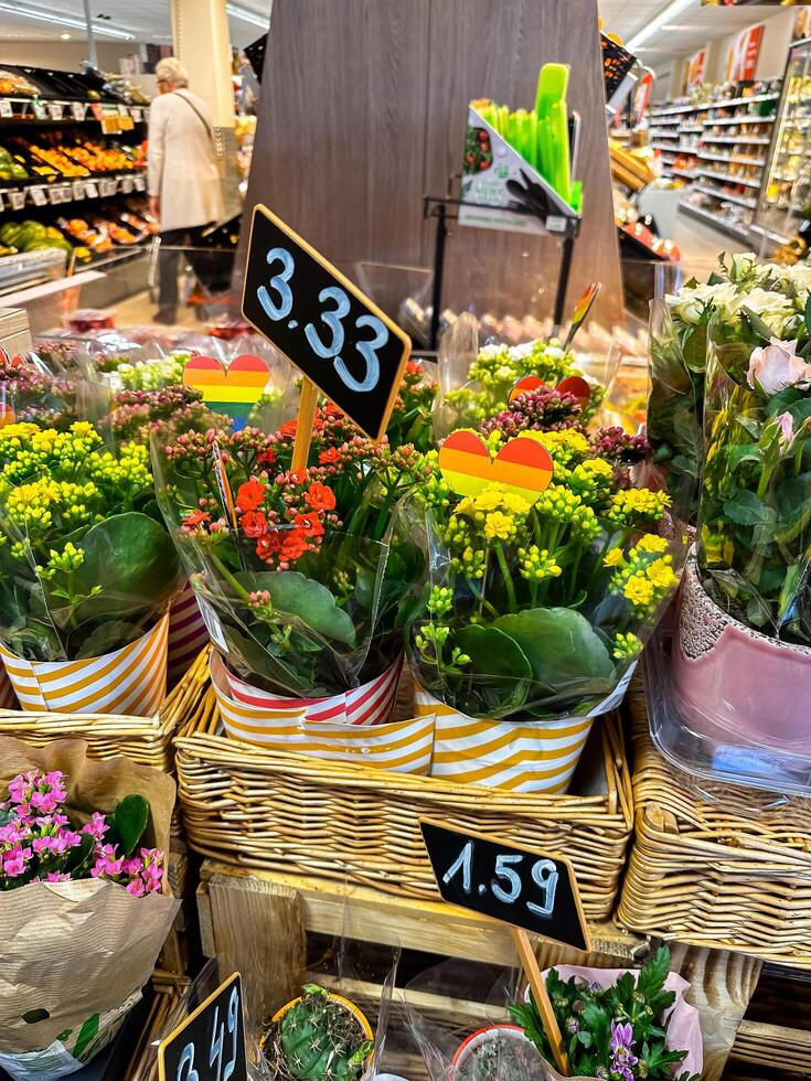 Rastatt, Germany - May 18, 2024 - Display of flowers with a sign that says 3.33 photo