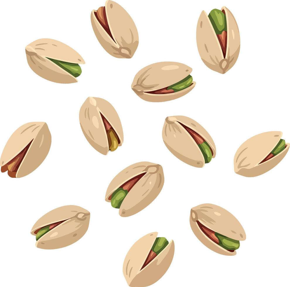 Pistachio nuts scattered illustration with natural beige shells and green kernels vector