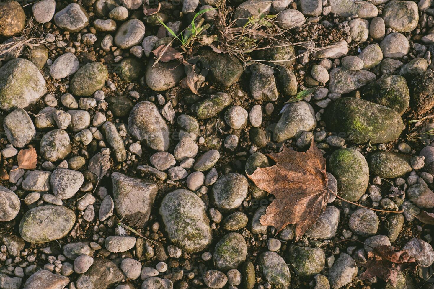 Leaf is laying on a pile of rocks photo