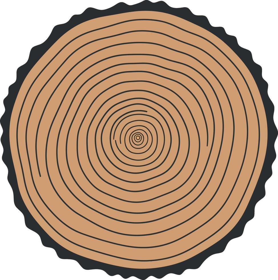 Tree trunk cross section with concentric rings natural texture illustration vector