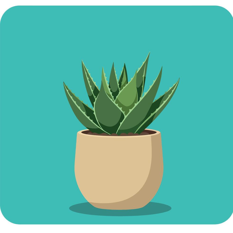 Aloe Vera Plant in Beige Pot on Turquoise Background Illustration vector