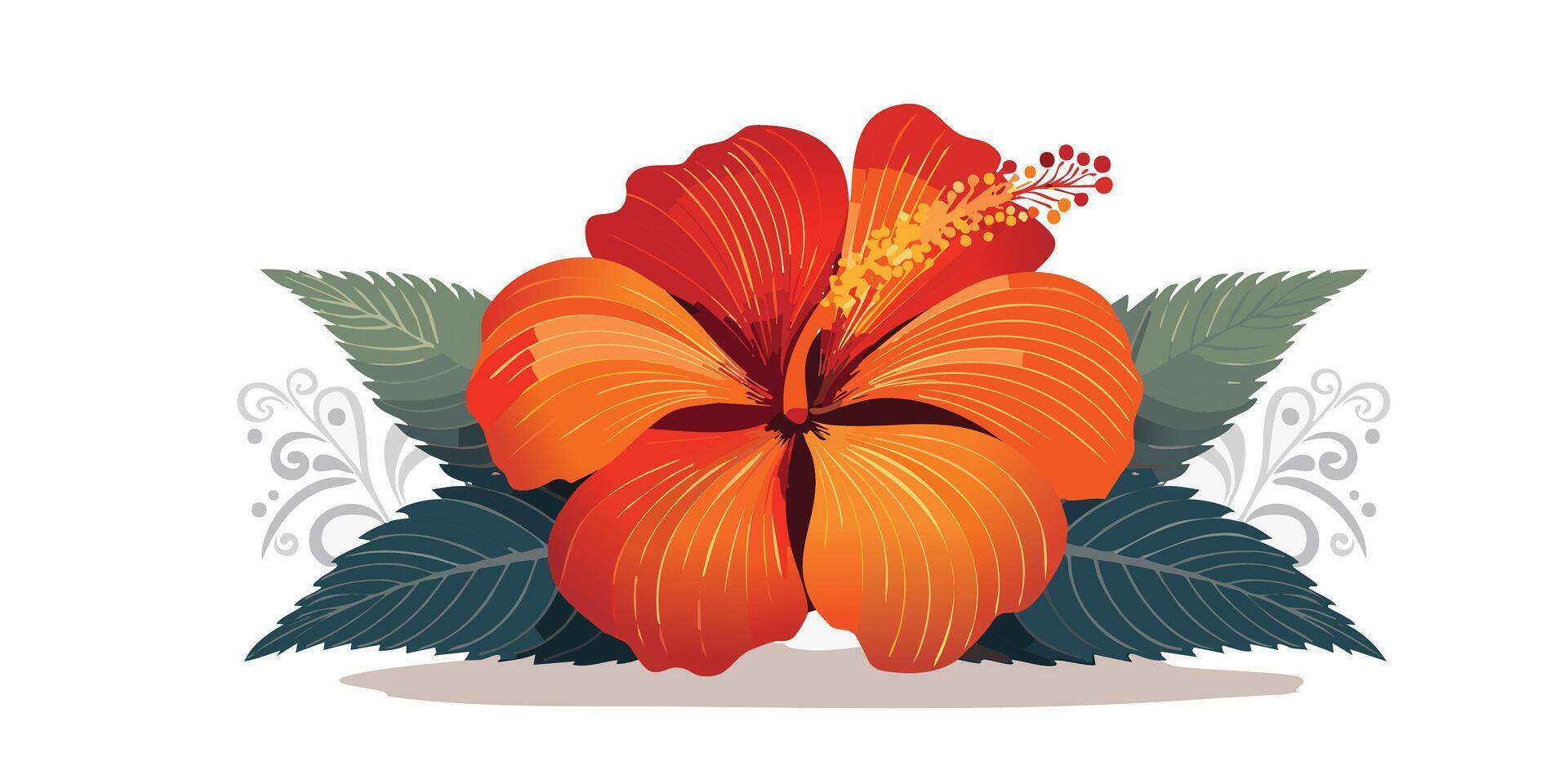 An orange hibiscus flower is shown on a white background vector