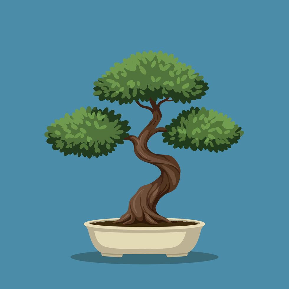 Bonsai tree with twisted trunk and green foliage in pot illustration vector