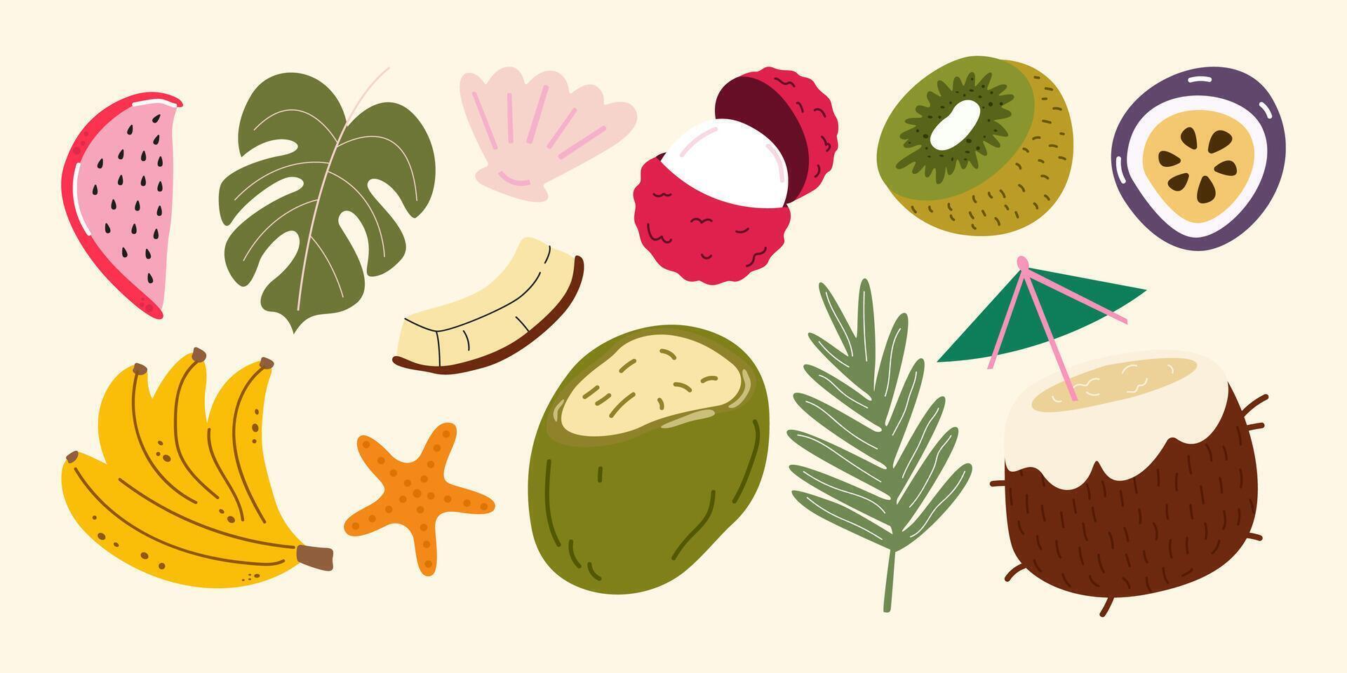 collection of tropical fruits in cartoon retro style. Beach cartoon stickers. Banana, dragon fruit, coconut, passion fruit, kiwi, lychee, palm leaves, shells. Organic fresh tropical elements vector