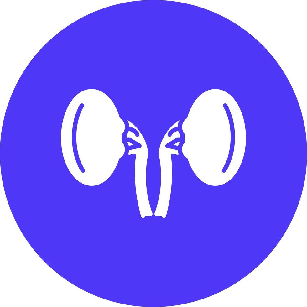 Kidneys Clean Grid Icon vector
