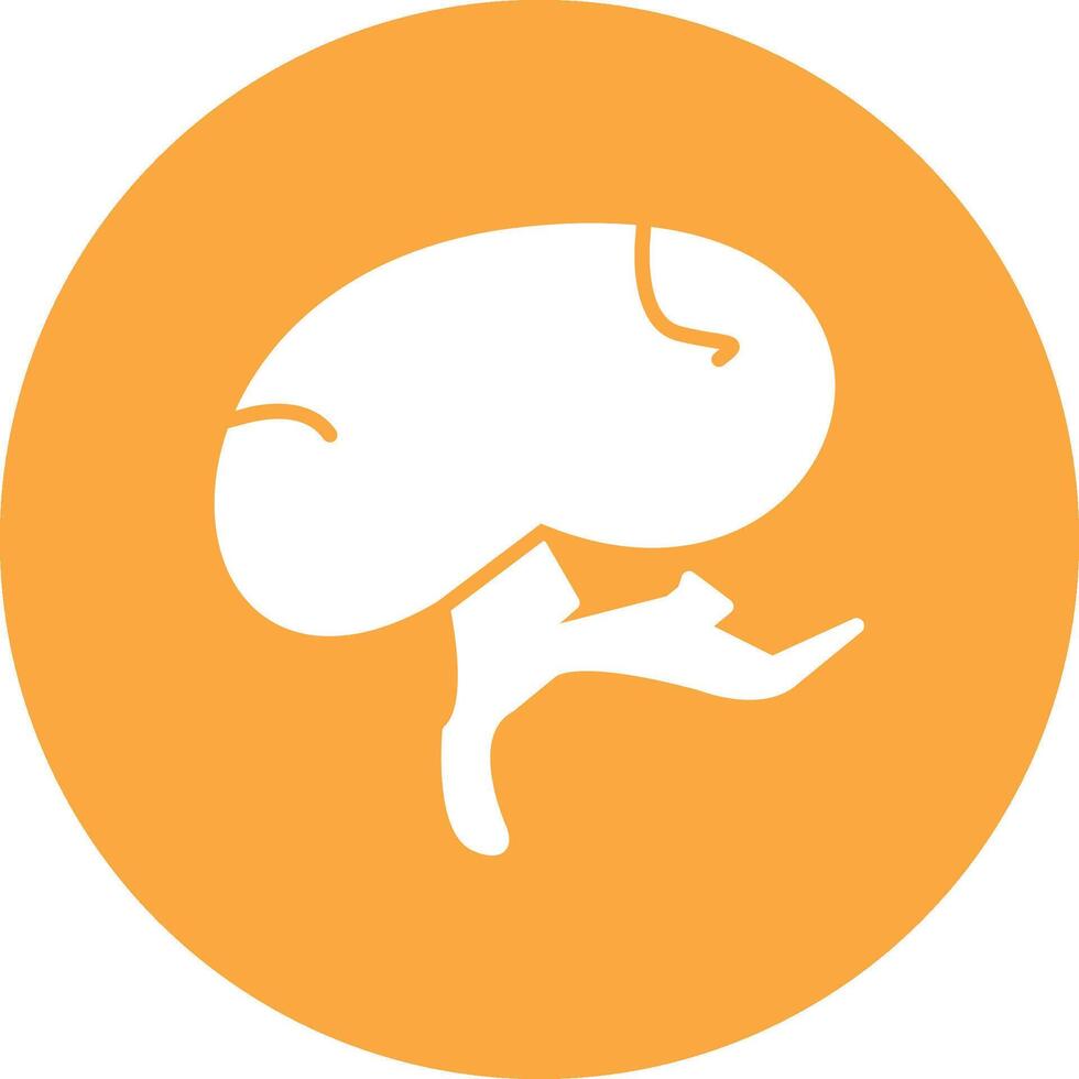 Spleen Dynamic Web Illustration vector