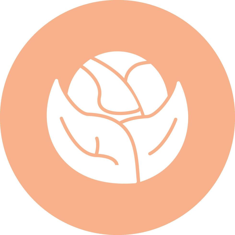 Cabbage Bold Web Icon vector