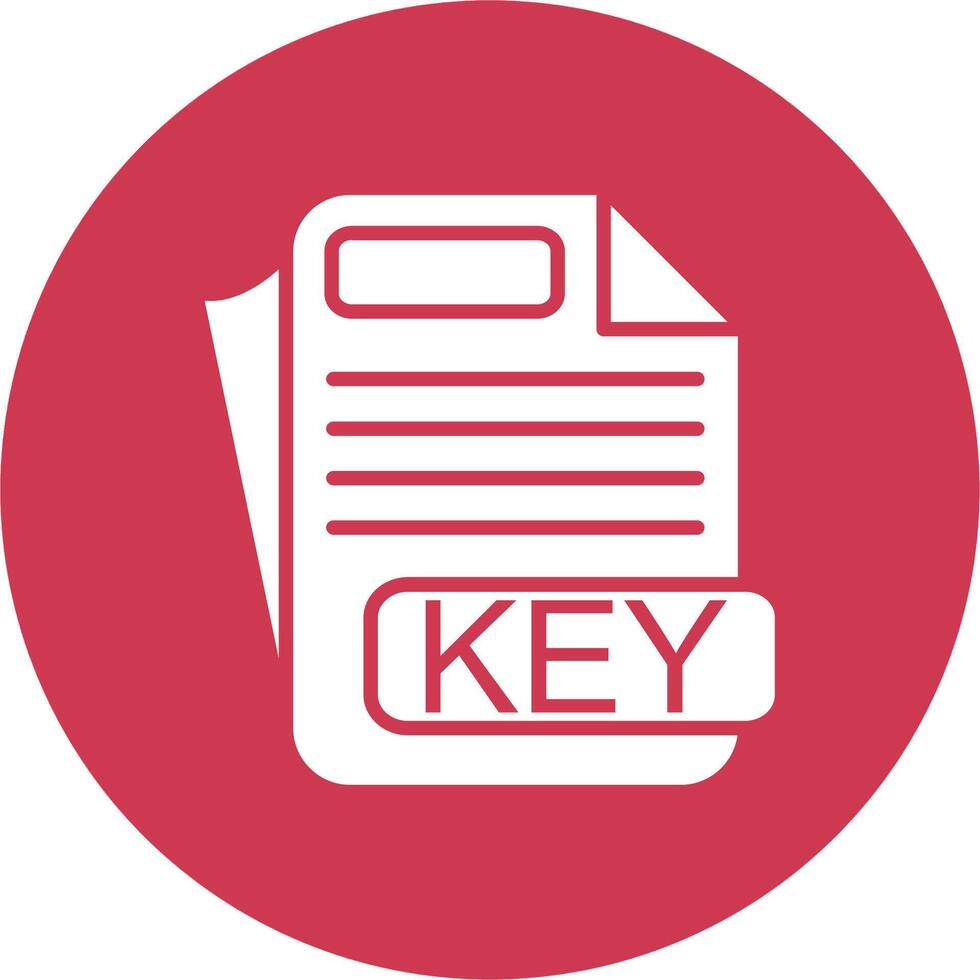 KEY File Format Modern App Icon vector