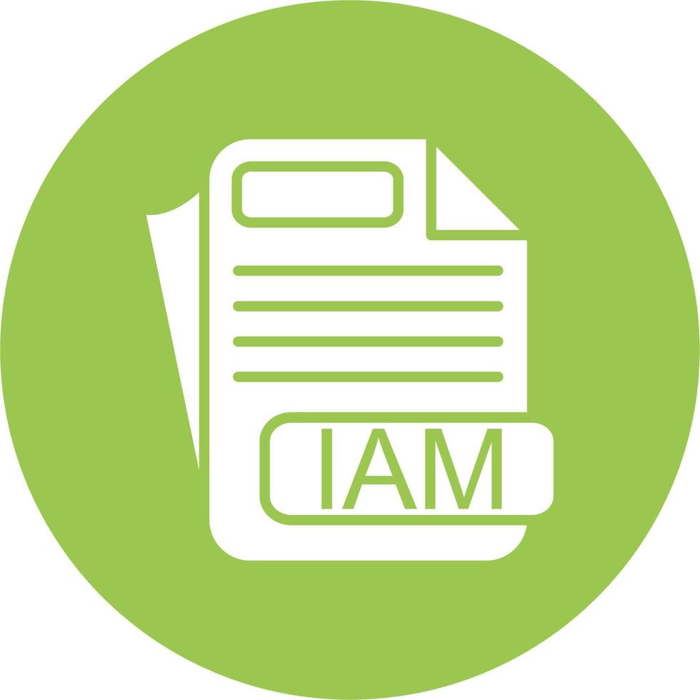 IAM File Format Color Accent Visual vector