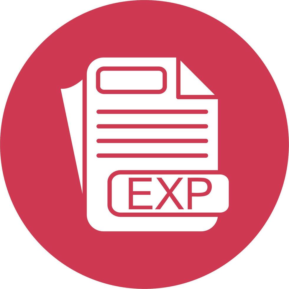 EXP File Format Functional Icon Art vector