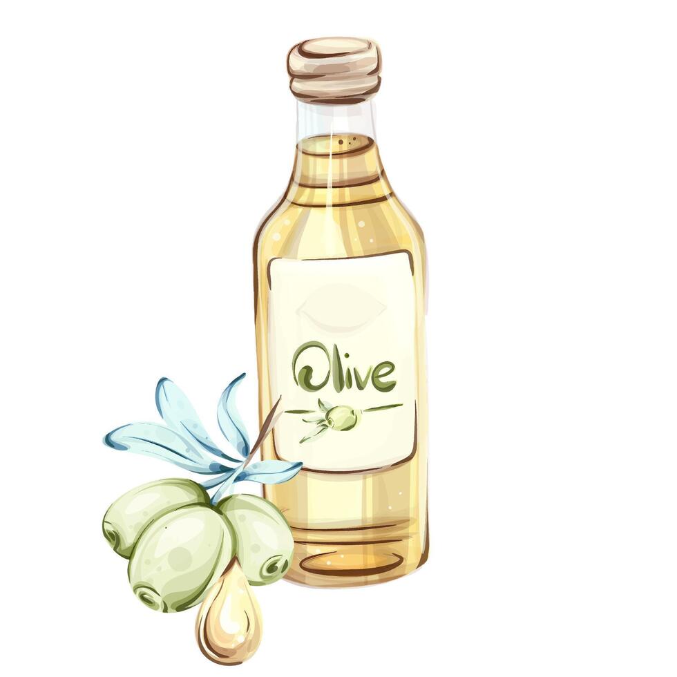 Colorful watercolor illustration of olives and olive oil showcasing the essence of Italian cuisine and nature vector
