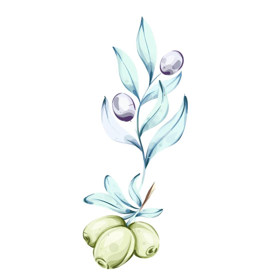 Watercolor illustrationolives and olive oil capturing the essence of Italian cuisine and nature vector