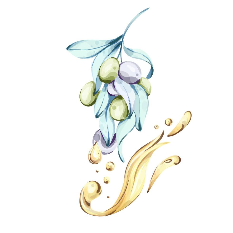 Beautiful watercolor illustration of olives and olive oil celebrating Italian cuisine and natures bounty vector