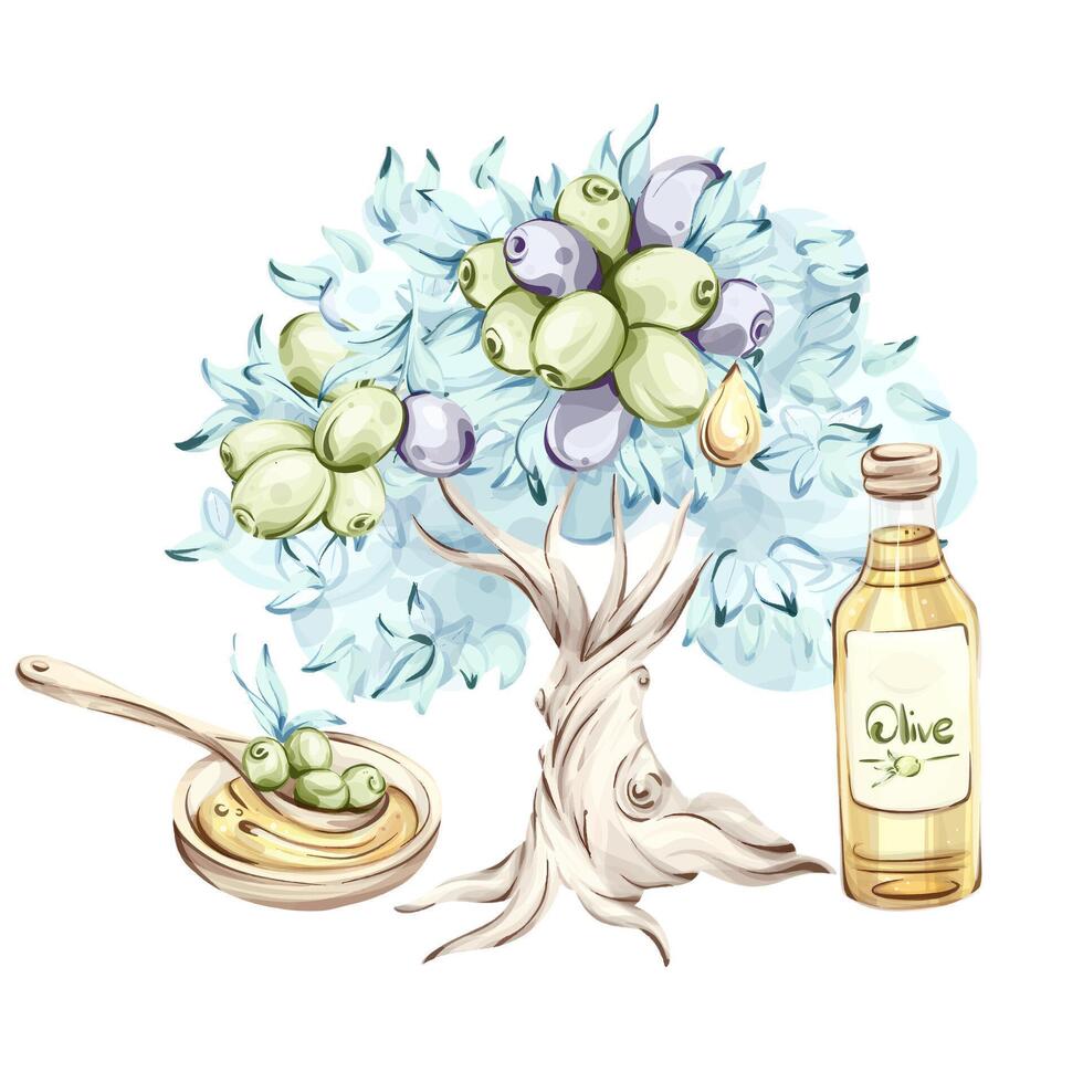 Illustration of olives and olive oil showcasing the beauty of nature in Italian cuisine vector