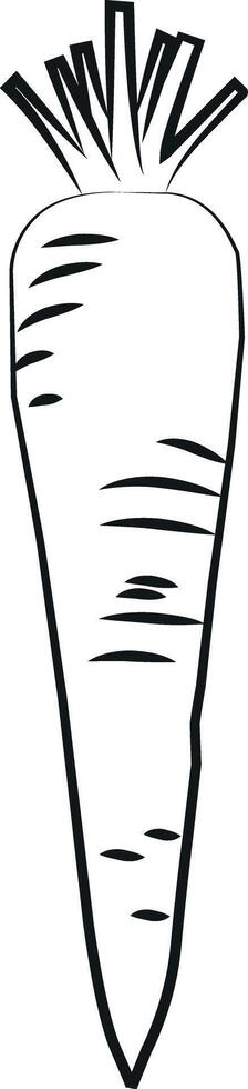 carrot lines, carrot outline, suitable for coloring books vector