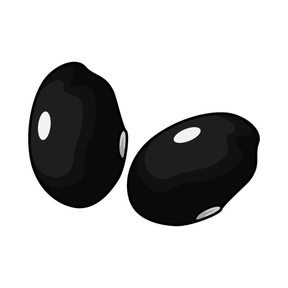 black beans illustration vector