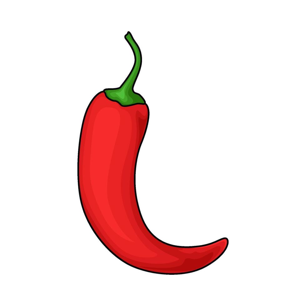 red chili pepper illustration vector
