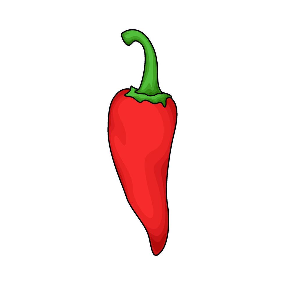 red chili peppers vector