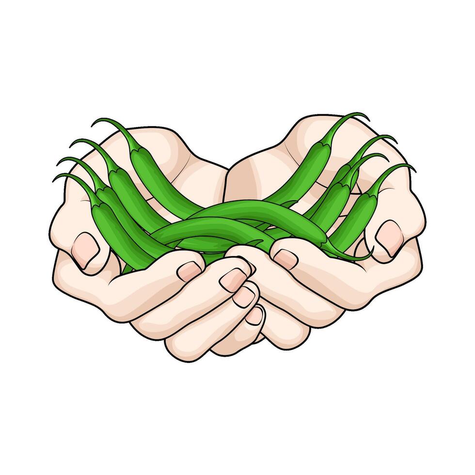 illustration of chili in hand vector