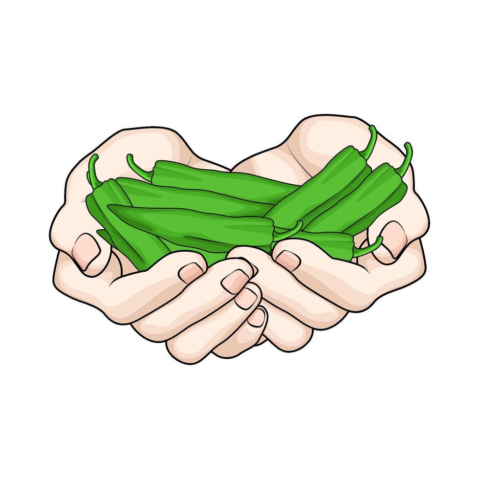 green chili pepper in hand vector