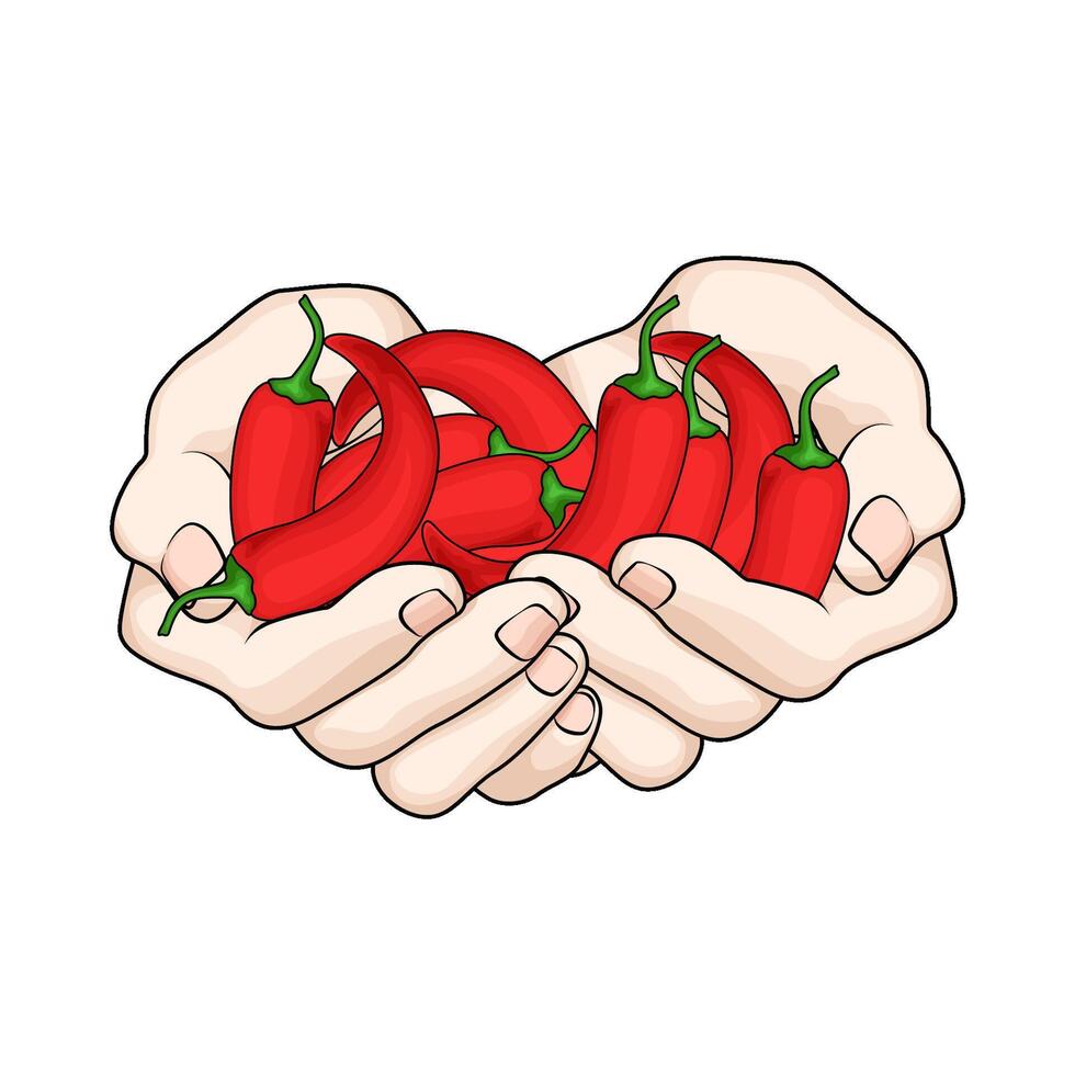 organic red chili in hands vector