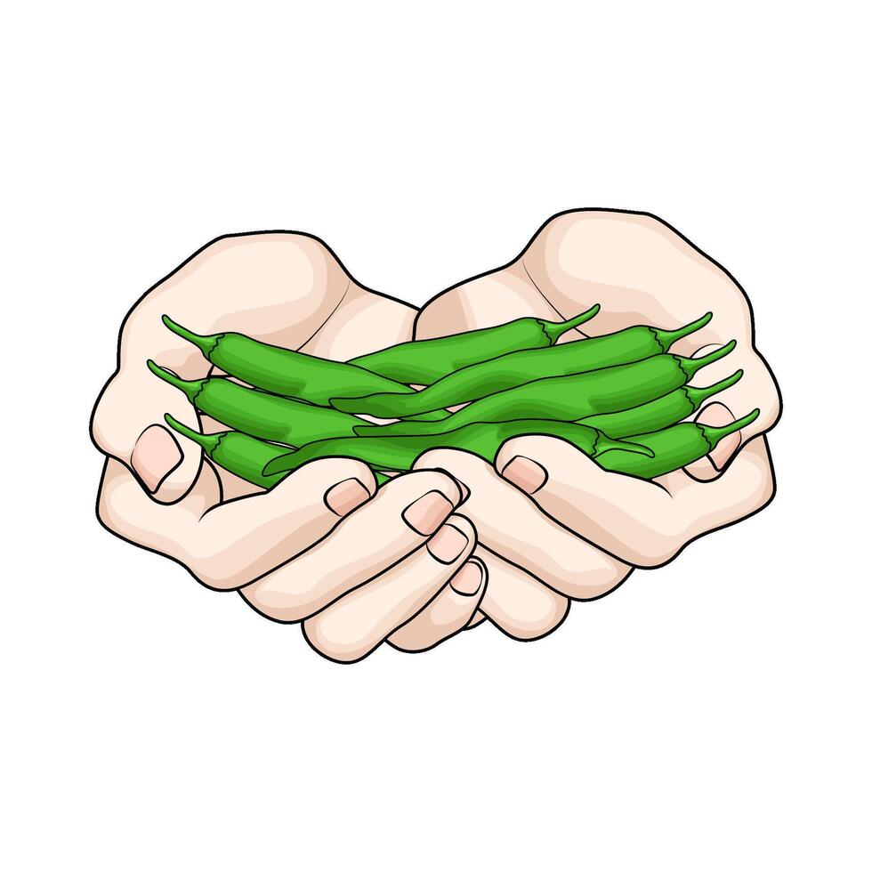 green chili in hand vector
