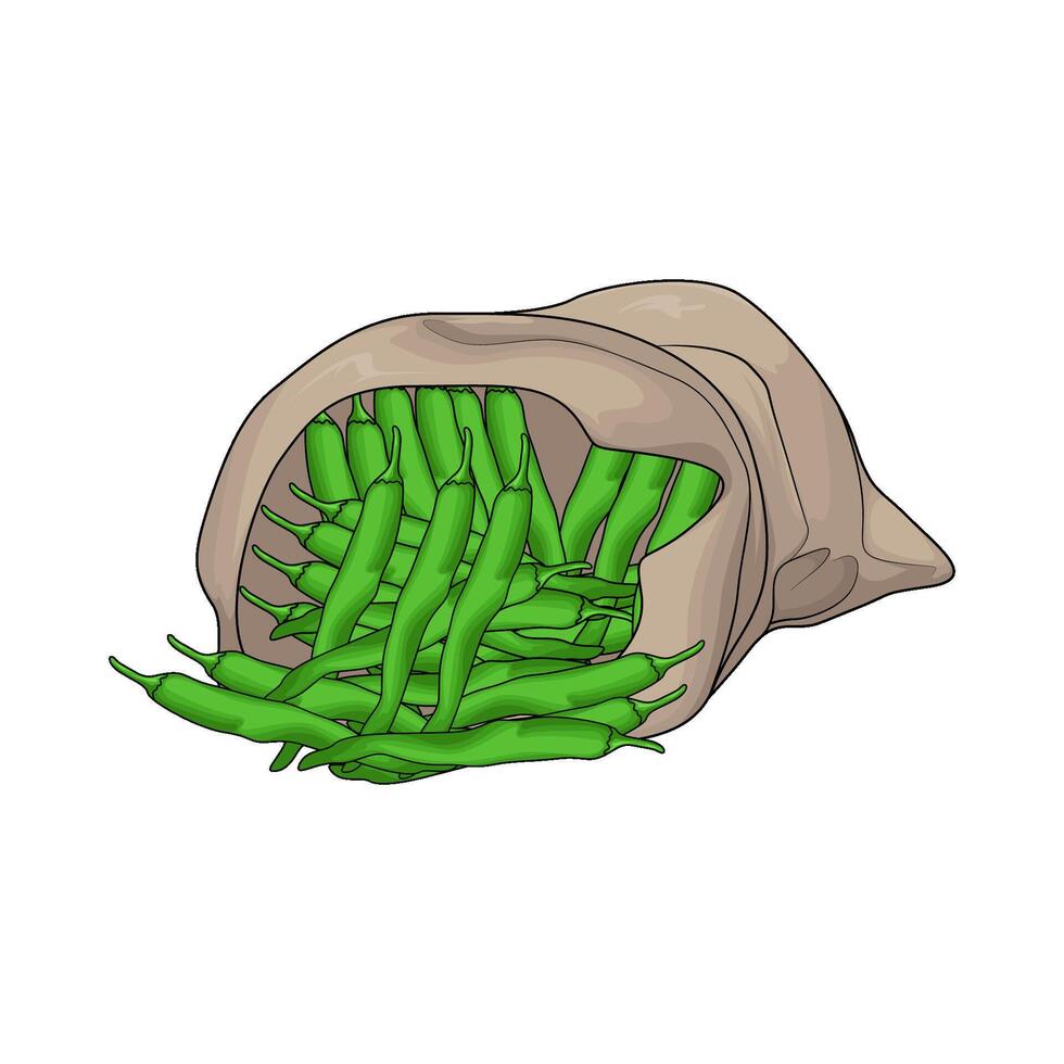 sack of green chili vector