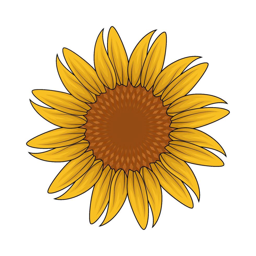 illustration of fresh sunflower vector