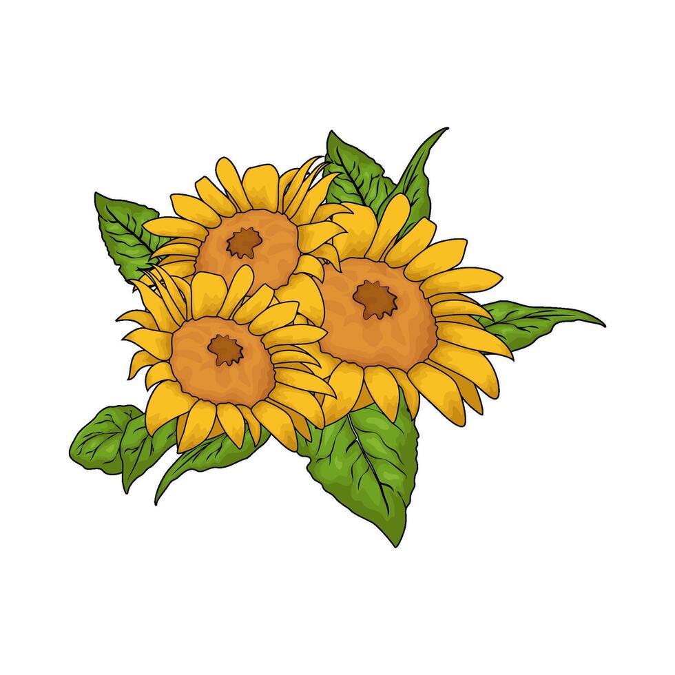 illustration of three fresh sunflowers vector