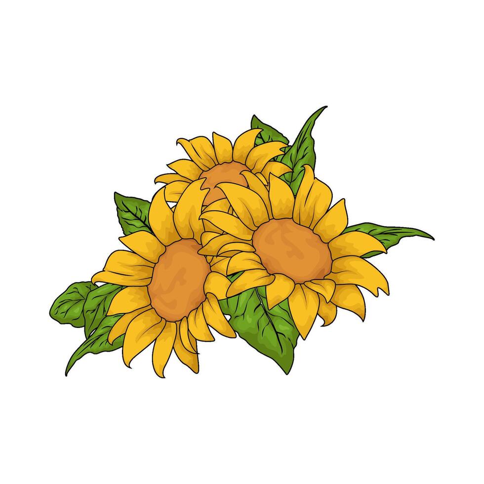 illustration of three sunflower vector