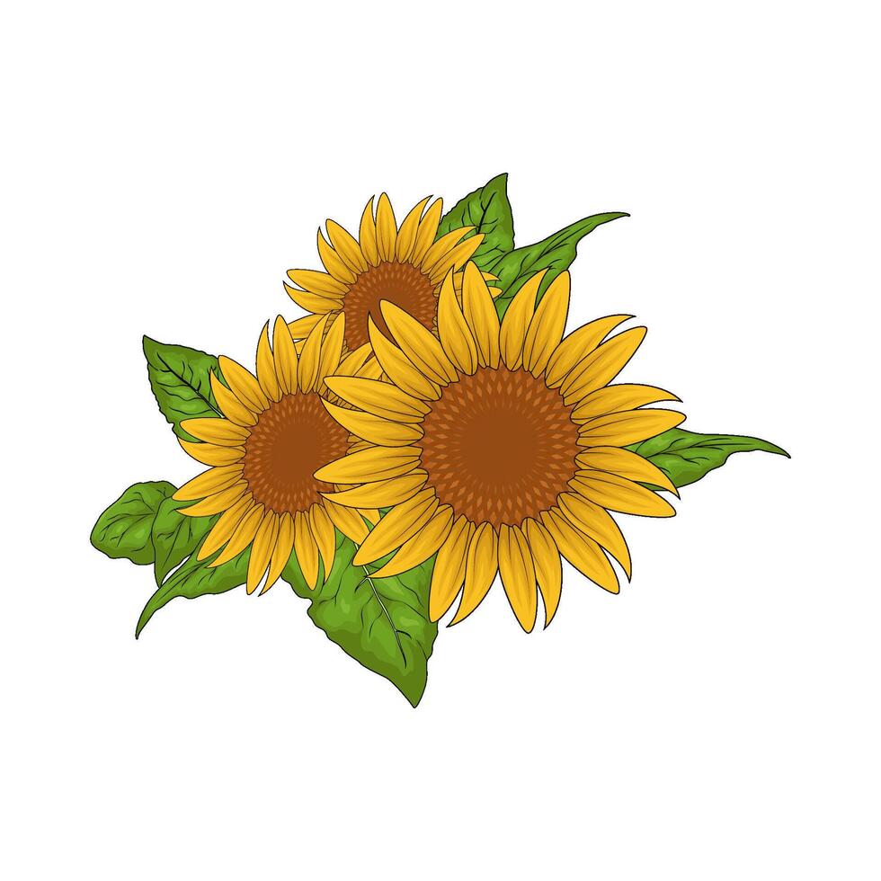 three fresh sunflowers vector