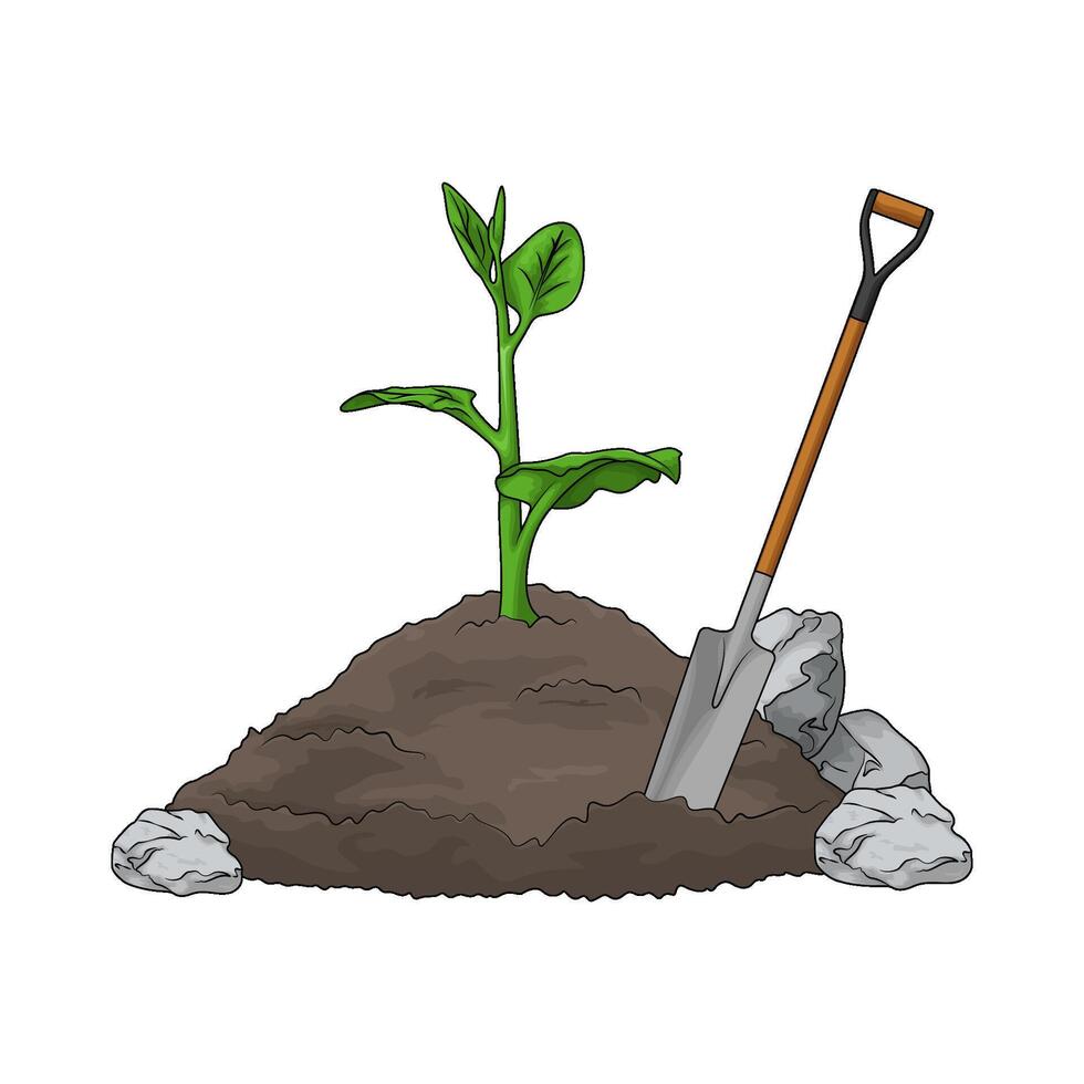 sprouts with shovel vector